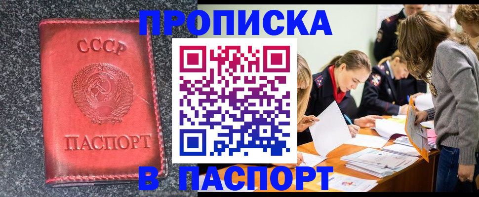 прописка для школы в Светлогорске