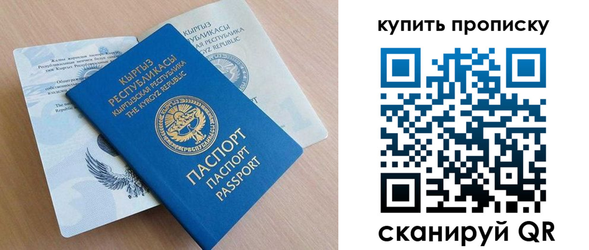 временная регистрация поиск в Светлогорске